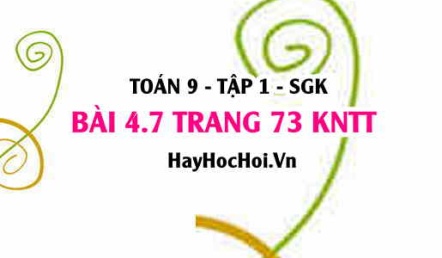 Bài 4.7 trang 73 Toán 9 tập 1 Kết nối tri thức